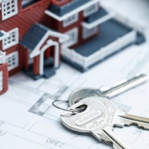 Expertise et engagement d’un promoteur immobilier local au Pays Basque